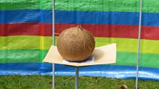 To earn clue five at RAOB Fun Day in Horsham St Faith, Julie had to try her aim on the coconut shy