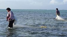 Fishing in Nagigi Village, Fiji