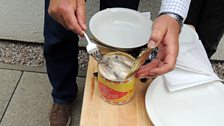 Seo e - Surströmming