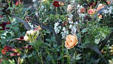 Flower details in the Bacchus Garden