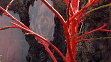 A red-painted dead tree sculpture