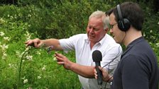 Chris very carefully shows Paul a marsh thistle