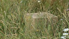 Sculptural details in the temporary garden