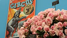 Circus posters amongst the roses