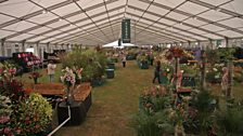 Inside the Floral Pavilion at RHS Hampton Court Palace Flower Show 2014