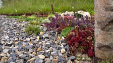 This garden tells the story of the Thetford Flintknapper