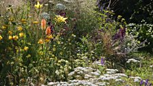 Soft, naturalistic planting is used throughout