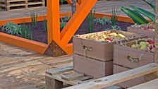 Shipping crates filled with produce