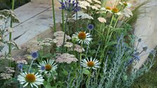 Planting within the garden