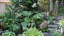 Broad leaf planting with a dry stone wall