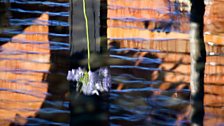 Reflections in the pebble pool