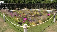 The One Show garden, designed by Alexandra Noble