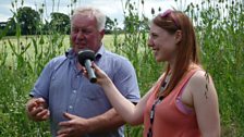 Talking teasel