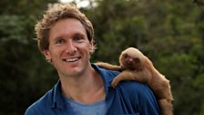 Presenter Max Hug Williams with a baby two-toed sloth