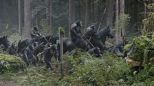 Dawn of the Planet of the Apes