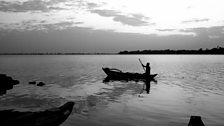 During Sri Lanka’s 30-year civil war, all research into the singing fish was stopped.