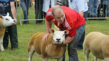 The Castlewellan Show