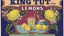 King Tut Lemons