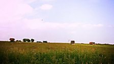 Pea harvest, Stokesby, Norfolk; Courtesy of @BawdyPartridge