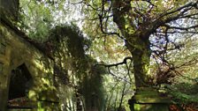 Overgrown path near Dorothea Slate Mine