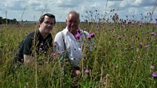 Chris and Paul among the knapweed