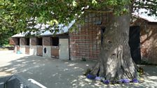 The barn and the tree outside