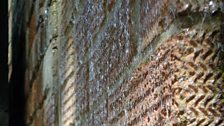 The wall of the barn, covered with slug trails!