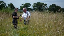 Chris and Paul search for an elusive butterfly