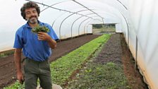 Benito, a grower on the Severn Project.