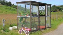 The bus shelter greenhouse in Skerray