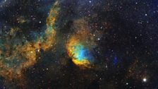 Tulip Nebula