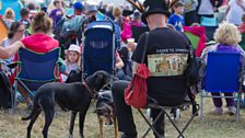 Cropredy Crowd