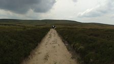 Haworth Moor