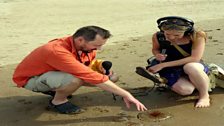 Alice and Peter Richardson looking at Compass Jellyfish