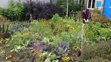 Gardens by the Tay