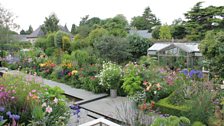 Helen Dillon’s Garden in Dublin