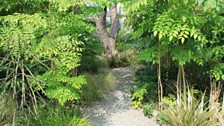 Helen Dillon’s Garden in Dublin