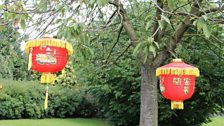 Chinese Lanterns