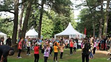 Crowds enjoy the Mela