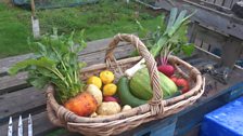 A basket of produce from the allotment