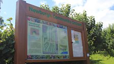 Newburgh Community Orchard