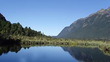 Seallaidhean àlainn de New Zealand