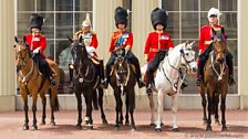 Prince Charles in front of Buckingham Palace