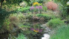 Ballyrobert Cottage Garden