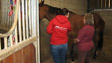 Next it was off to an open day at a riding stables in Lyng