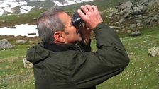 Marco Grosa looks for Ibex