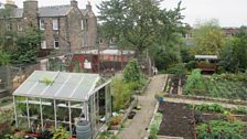 Gorgie City Farm