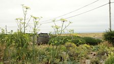 Derek Jarmans - Garden Prospe