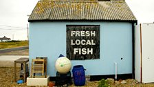 Dungeness Fish Shack