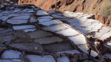 Salt ponds